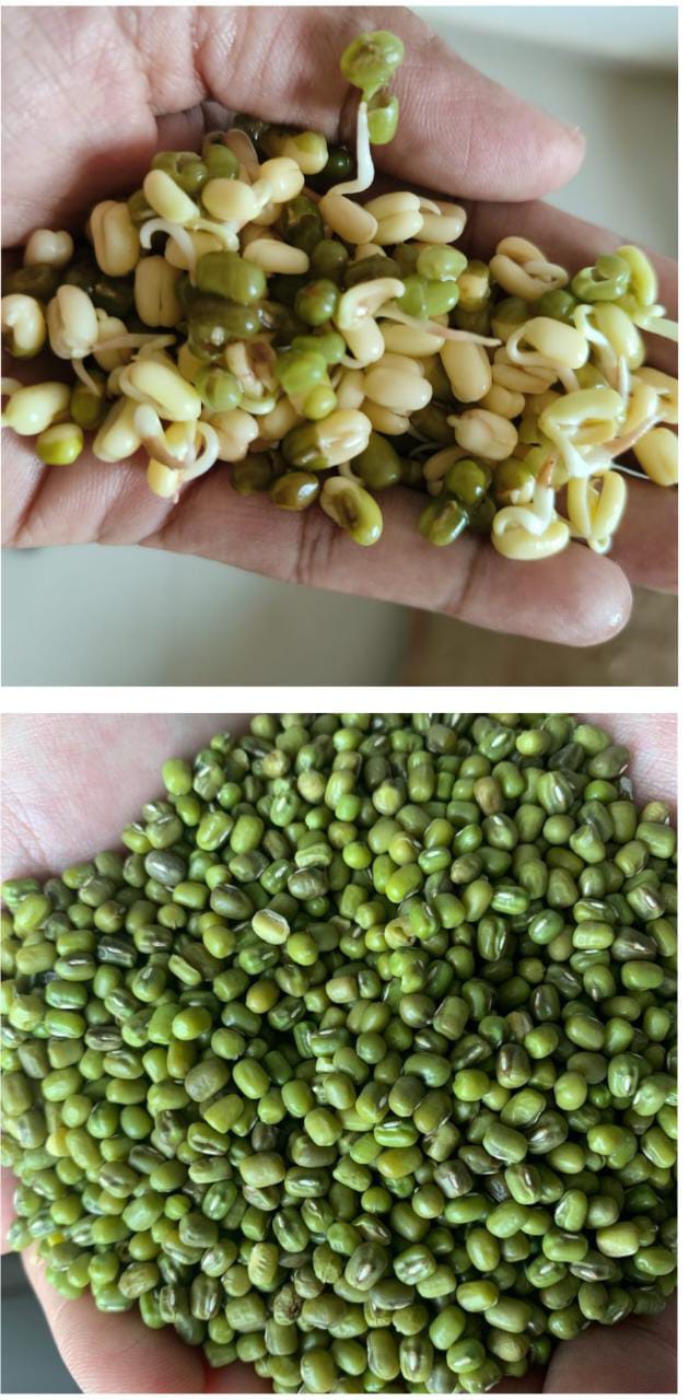 Whole Moong Green Gram – Unpolished Desi Variety