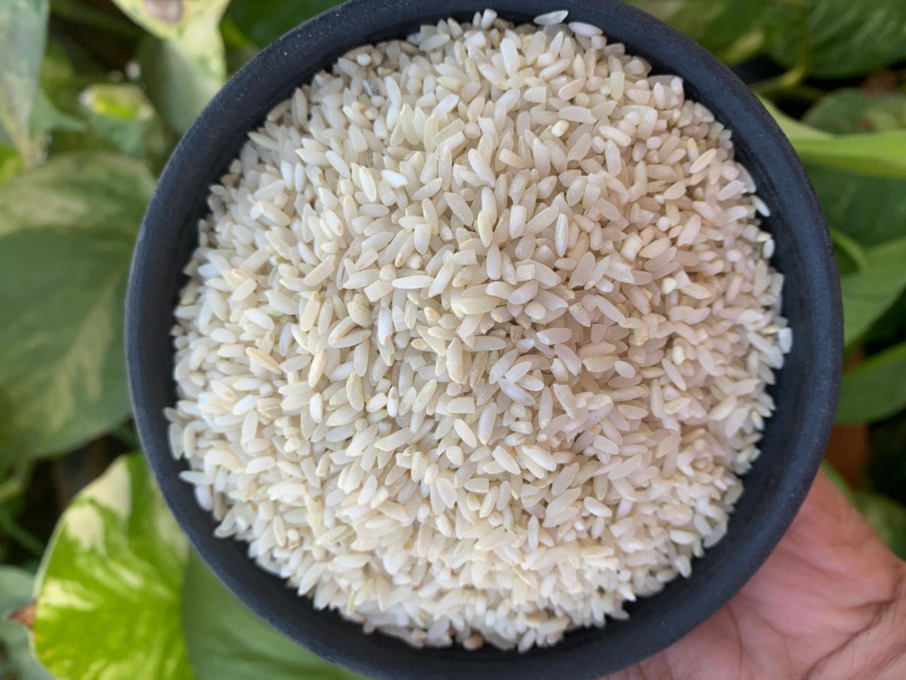 Aranya Krishnakamod Rice
