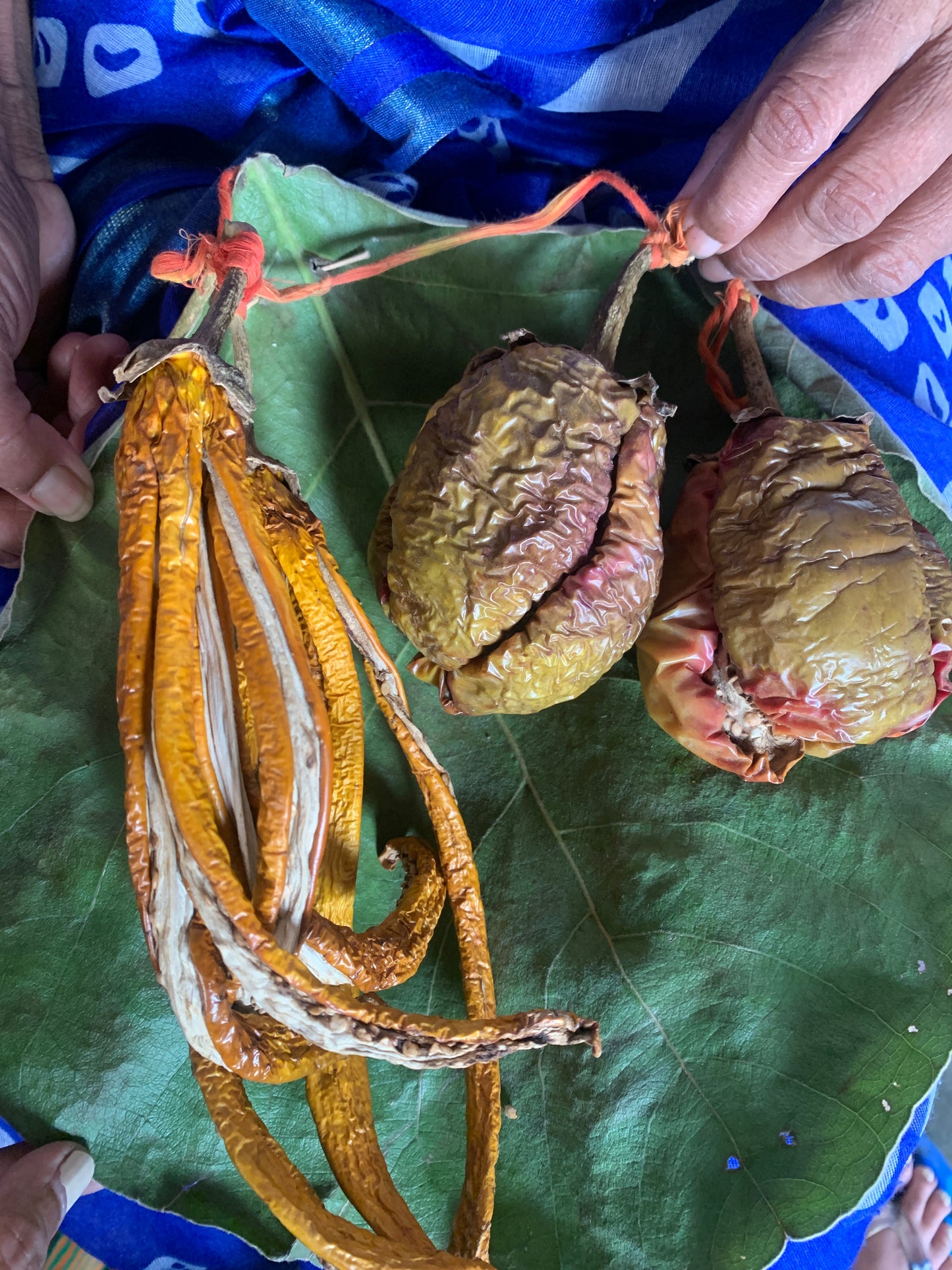 Ringan Seeds – Indigenous Brinjal (Eggplant/Baingan) | Organic Heirloom Vegetable Seeds