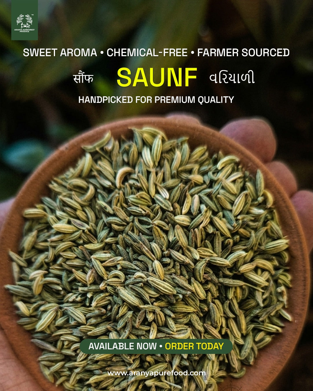 Aranya Saunf (Variyalli/Fennel Seeds)