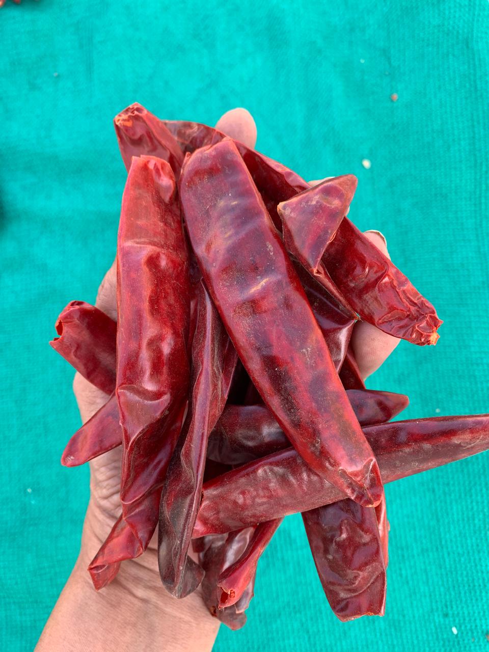 Aranya Kashmiri Red Chilli