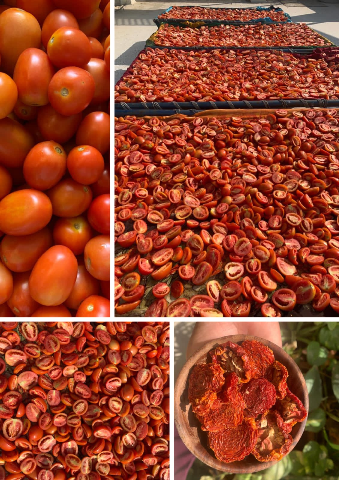 Sun dried tomatoes