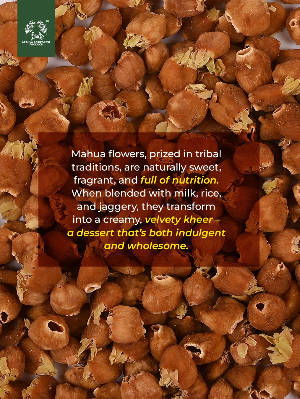 Mahua Tree - Kalpvriksra of Tribal area