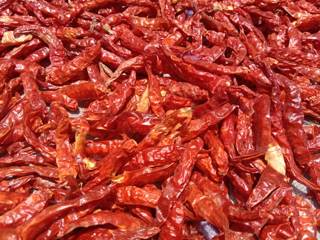 Spices/Sun-dried Veggies/ Nuts