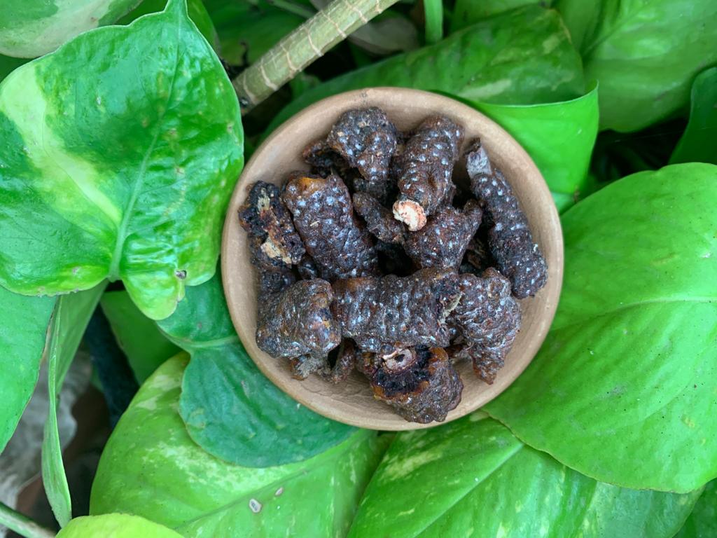 Forest Produce