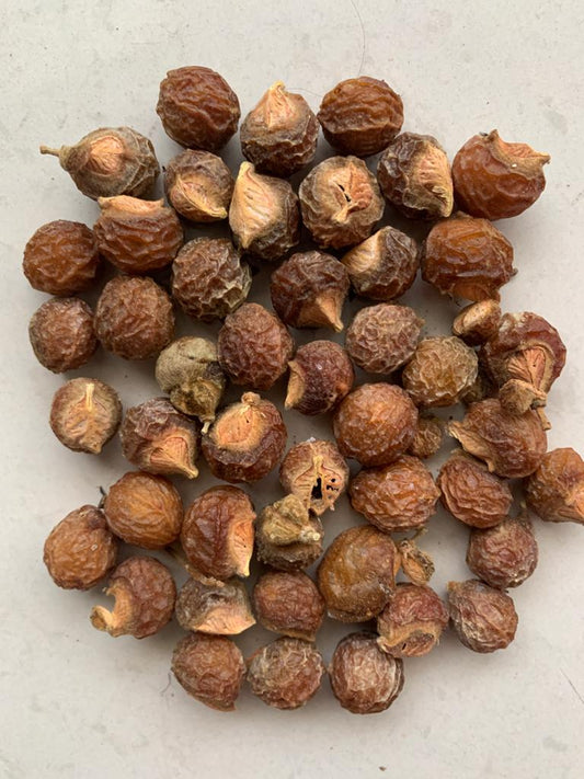 Aranya Soapnuts/ Reeta