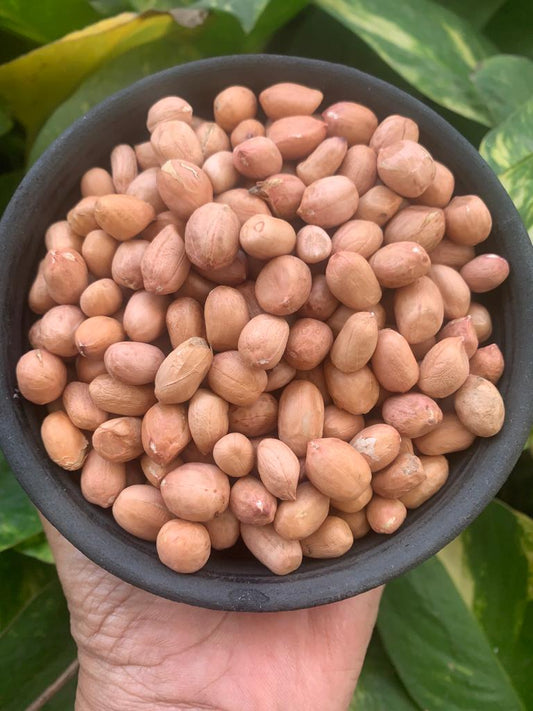 Aranya Raw Unpolished Peanut(Groundnut/Singdana/Moongphalli/Nilakadalai)