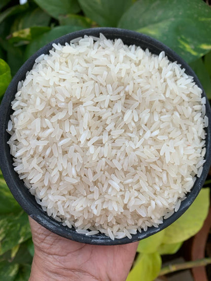 Bangalo Rice – Aromatic Indigenous Long-Grain Rice