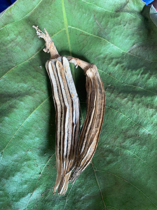 Binda Seeds – Indigenous Okra (Bhindi) | Organic Heirloom Desi Vegetable Seeds
