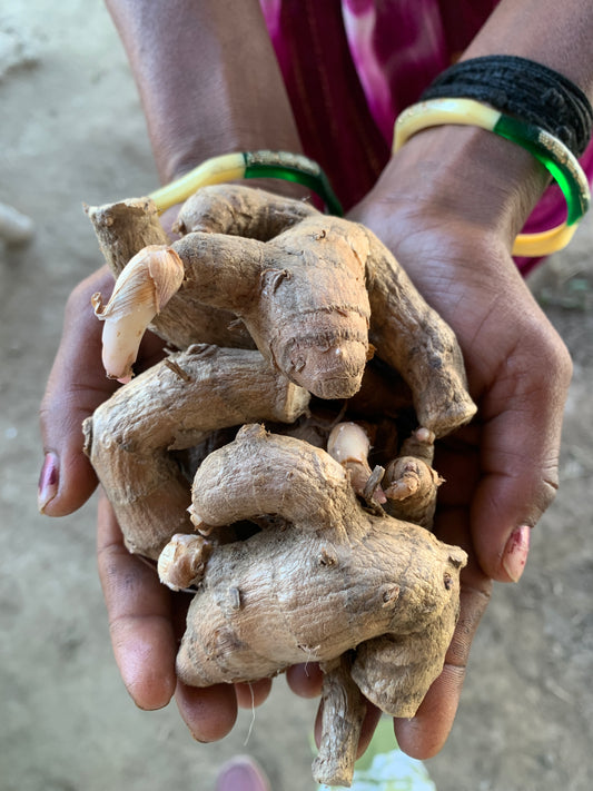 Black Turmeric Seeds – Rare Indigenous Kali Haldi | Ayurvedic Organic Spice Seeds