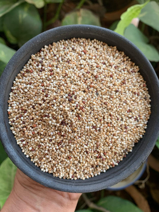 Aranya White Ragi