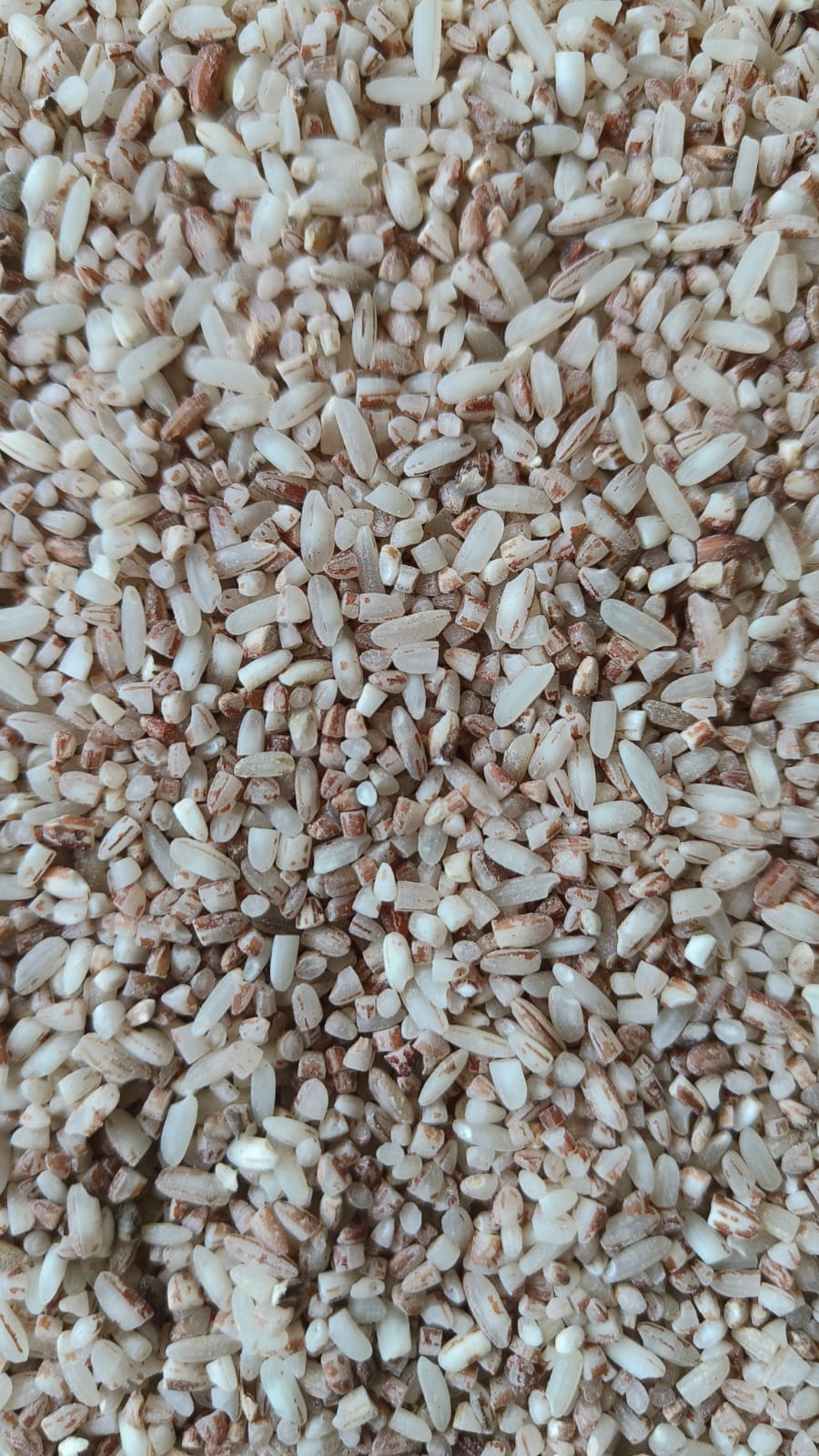 Aranya Chetral Rice