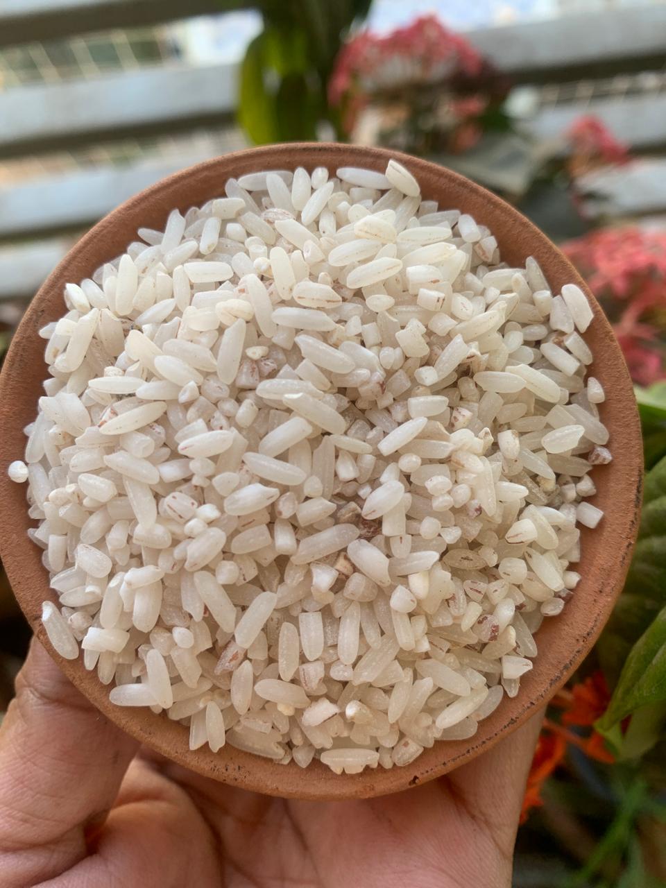 Aranya Kamod/Kamboj Rice