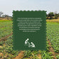 Aranya Plant Based Wellness Powder (Collagen)