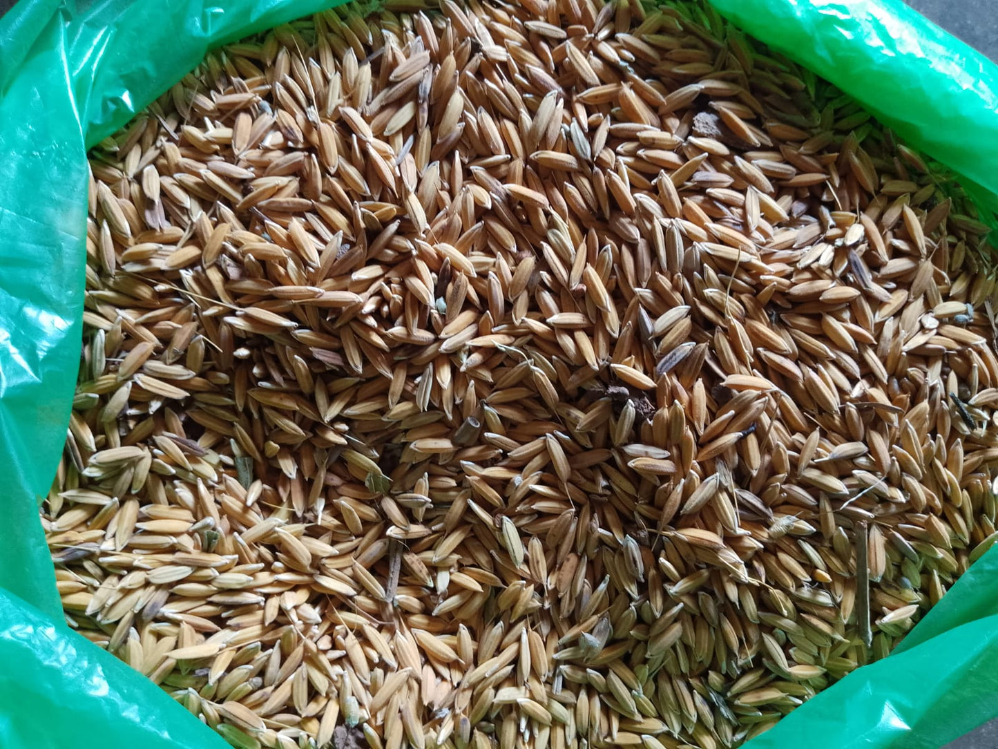 Aranya Ankla Rice