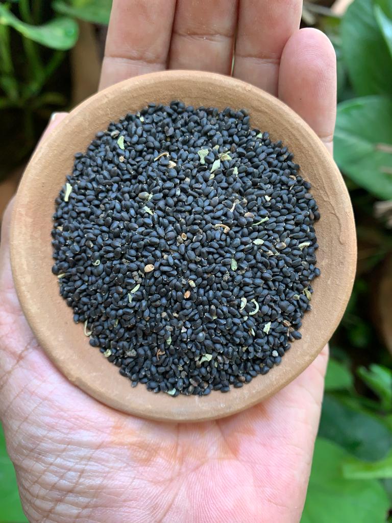 Aranya Basil seeds(Sabja seeds/Tukmaria) – Aranya India