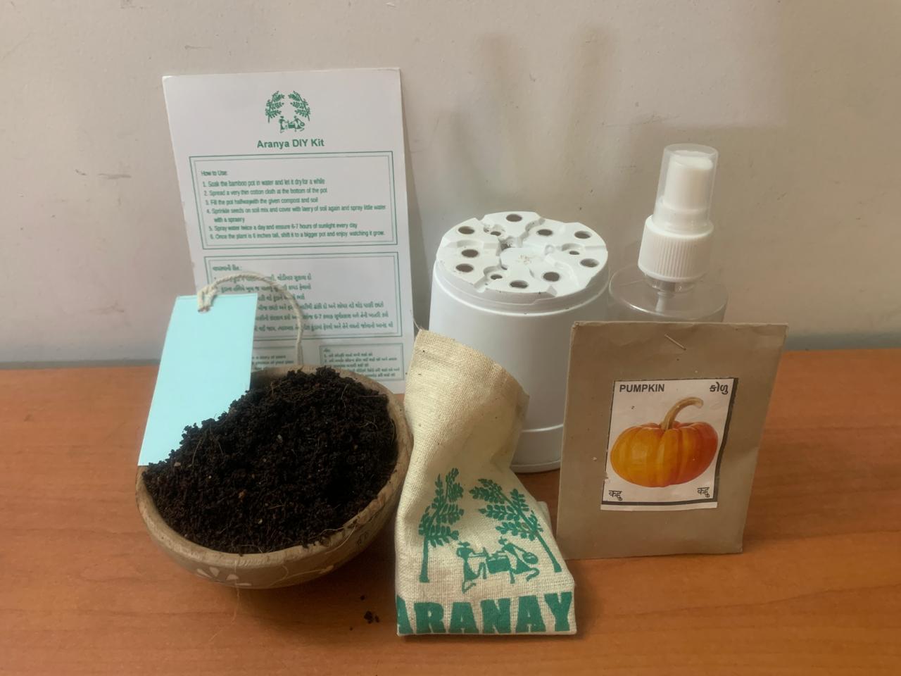 Aranya DIY Kit - Teach to grow