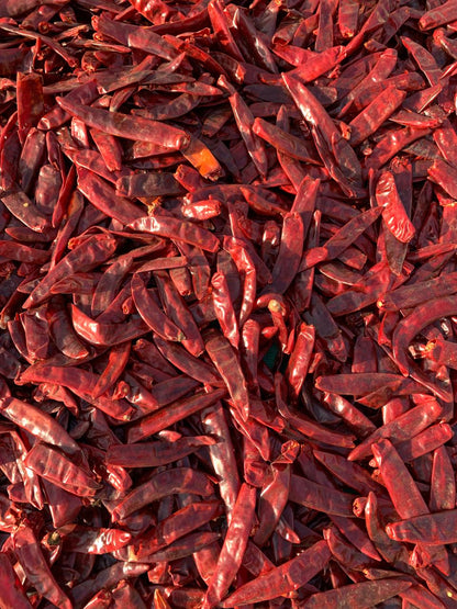 Aranya Kashmiri Red Chilli