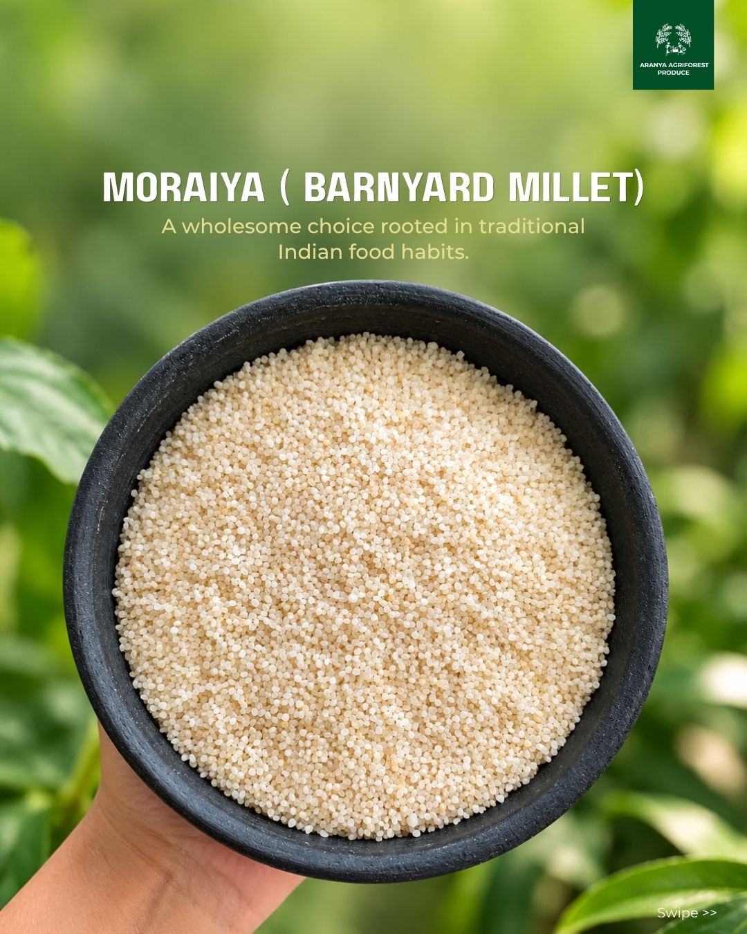 Moraiya (Barnyard Millet)