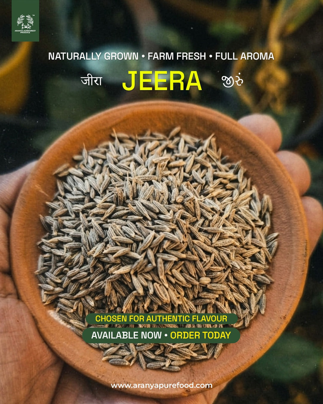 Aranya Jeera