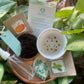 Aranya DIY Kit - Teach to grow