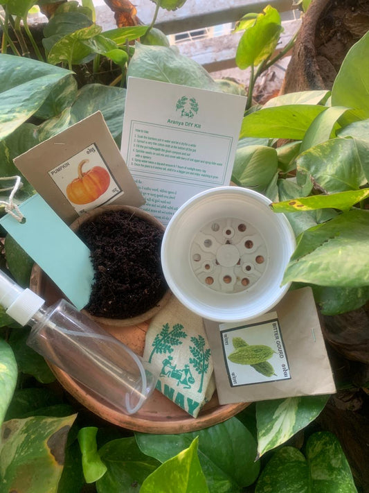 Aranya DIY Kit - Teach to grow