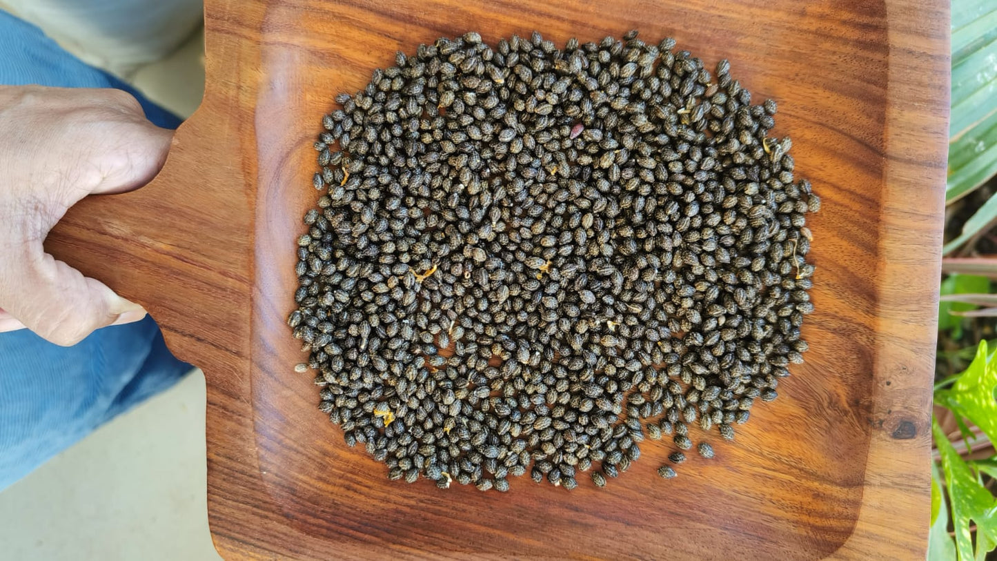 Aranya Papaya Seeds