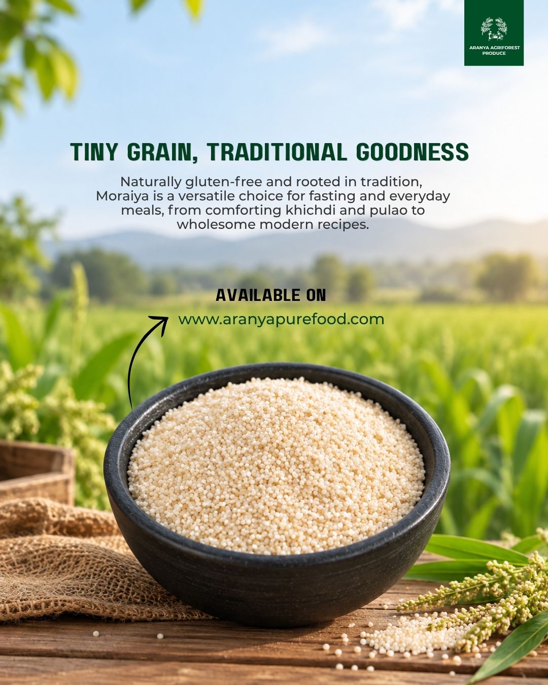 Moraiya (Barnyard Millet)