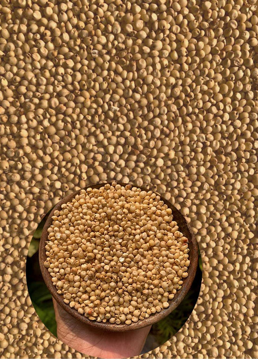 Aranya Jowar(Sorghum)