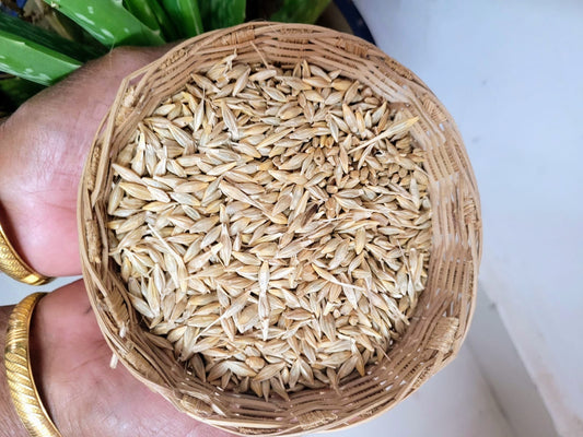 Aranya Hulled Barley - Jav